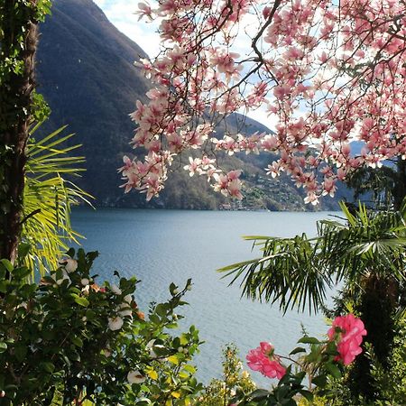 Barony Olive 2 Personen Mit Hund Lugano Exterior foto