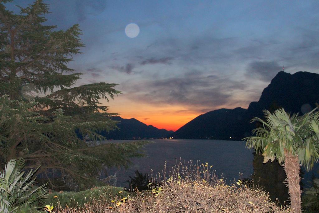 Barony Olive 2 Personen Mit Hund Lugano Exterior foto